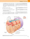 Gray’s Anatomy for Students 5th Edition 2024