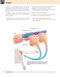 Gray’s Anatomy for Students 5th Edition 2024