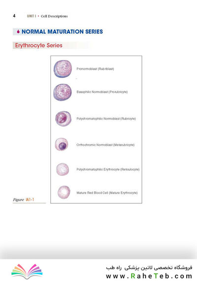 Anderson's Atlas of Hematology 2nd Edicion