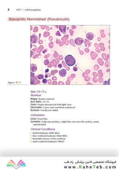 Anderson's Atlas of Hematology 2nd Edicion