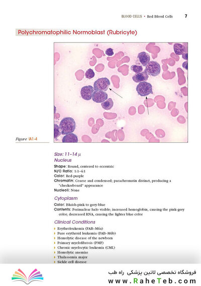 Anderson's Atlas of Hematology 2nd Edicion