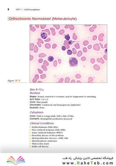 Anderson's Atlas of Hematology 2nd Edicion