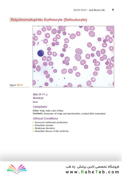 Anderson's Atlas of Hematology 2nd Edicion
