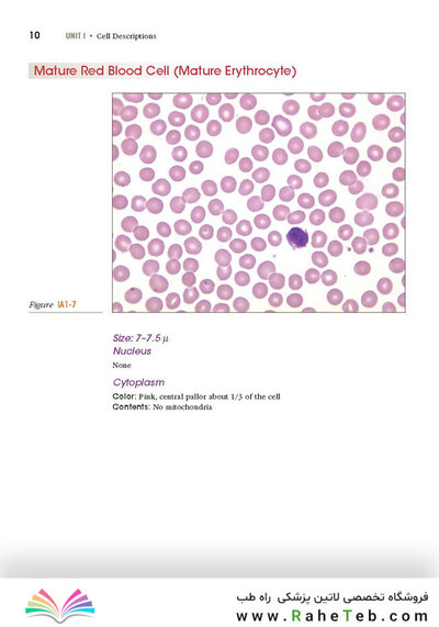 Anderson's Atlas of Hematology 2nd Edicion