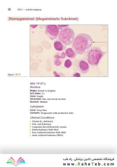 Anderson's Atlas of Hematology 2nd Edicion