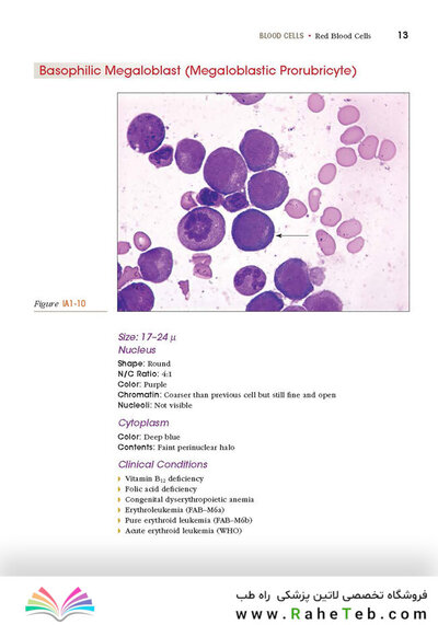 Anderson's Atlas of Hematology 2nd Edicion