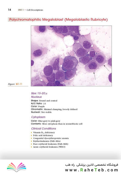 Anderson's Atlas of Hematology 2nd Edicion