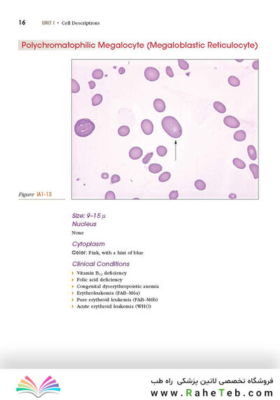Anderson's Atlas of Hematology 2nd Edicion