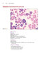 Anderson's Atlas of Hematology 2nd Edicion