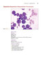 Anderson's Atlas of Hematology 2nd Edicion