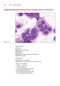 Anderson's Atlas of Hematology 2nd Edicion