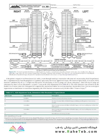 Rockwood and Green's Fractures in Adults 10th Edition 2025