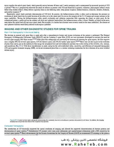 Rockwood and Green's Fractures in Adults 10th Edition 2025