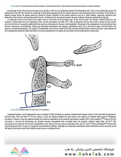 Rockwood and Green's Fractures in Adults 10th Edition 2025