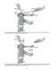 Rockwood and Green's Fractures in Adults 10th Edition 2025