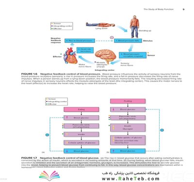 Human Physiology 16th Edition