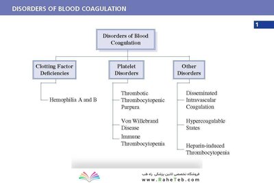 LANGE Pathology Flash Cards, Fourth Edition