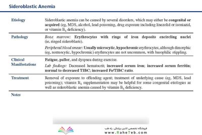 LANGE Pathology Flash Cards, Fourth Edition