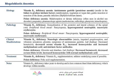 LANGE Pathology Flash Cards, Fourth Edition