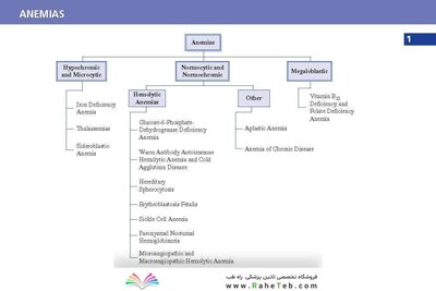 LANGE Pathology Flash Cards, Fourth Edition
