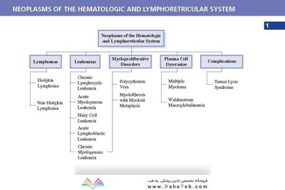 LANGE Pathology Flash Cards, Fourth Edition