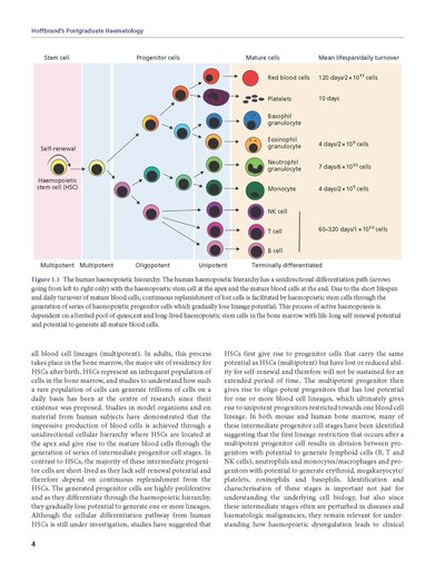 Hoffbrand's Postgraduate Haematology 8th Edition