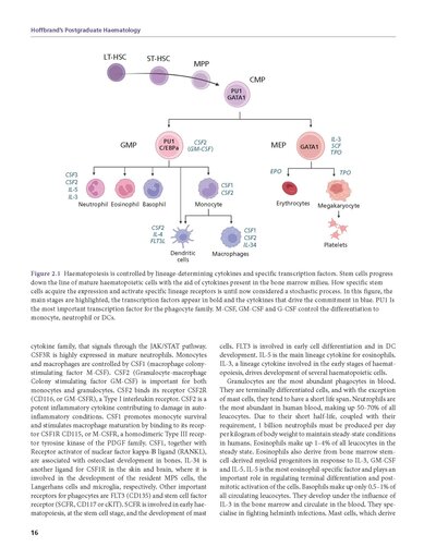 Hoffbrand's Postgraduate Haematology 8th Edition