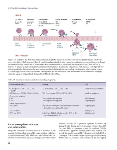 Hoffbrand's Postgraduate Haematology 8th Edition