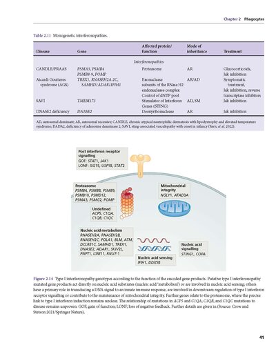Hoffbrand's Postgraduate Haematology 8th Edition