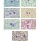 Hoffbrand's Postgraduate Haematology 8th Edition