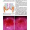 Colposcopy: Comprehensive Textbook and Atlas 1st ed