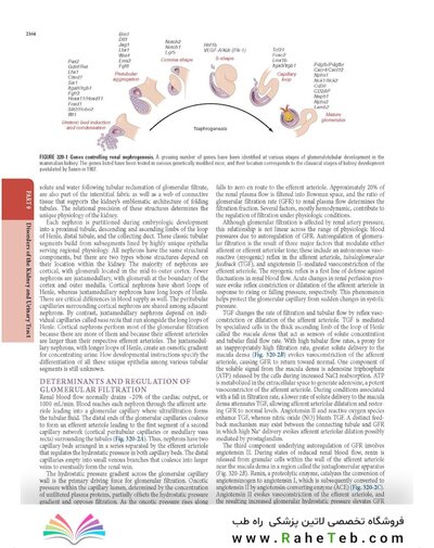 The Principles of Harrison’s Internal Medicine: Kidney and Urinary Tract Diseases 2026
