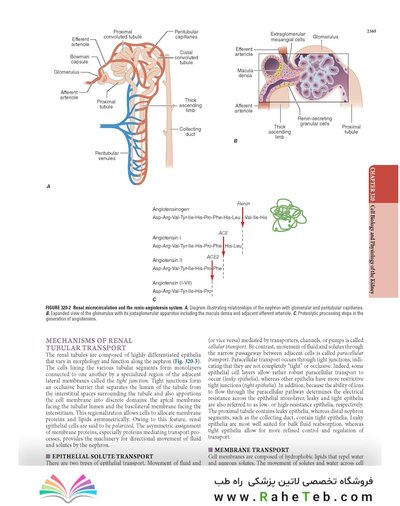 The Principles of Harrison’s Internal Medicine: Kidney and Urinary Tract Diseases 2026