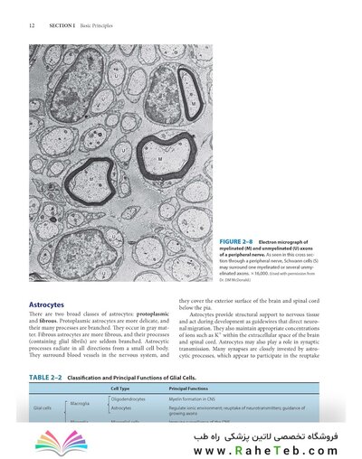 Dutton's Orthopaedic: Examination, Evaluation and Intervention, Seventh Edition