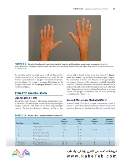 Dutton's Orthopaedic: Examination, Evaluation and Intervention, Seventh Edition