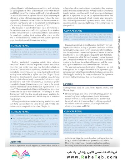 Dutton's Orthopaedic: Examination, Evaluation and Intervention, Seventh Edition