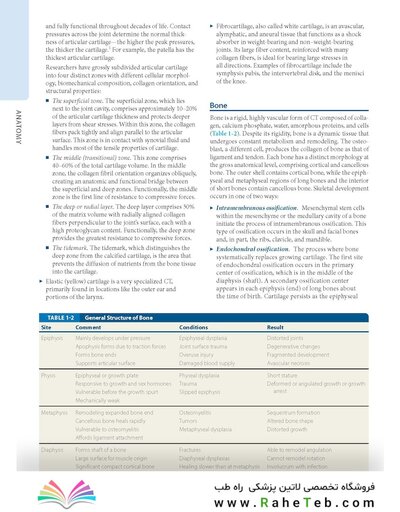 Dutton's Orthopaedic: Examination, Evaluation and Intervention, Seventh Edition