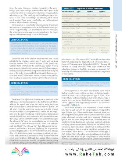 Dutton's Orthopaedic: Examination, Evaluation and Intervention, Seventh Edition