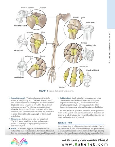 Dutton's Orthopaedic: Examination, Evaluation and Intervention, Seventh Edition