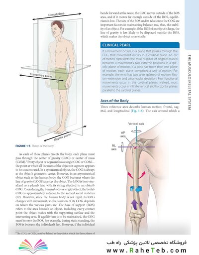 Dutton's Orthopaedic: Examination, Evaluation and Intervention, Seventh Edition