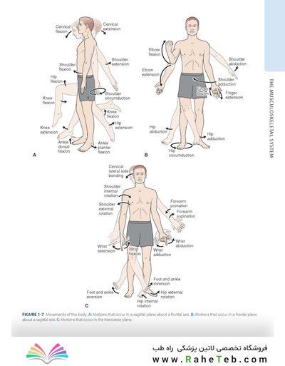 Dutton's Orthopaedic: Examination, Evaluation and Intervention, Seventh Edition