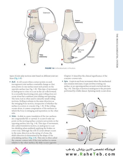 Dutton's Orthopaedic: Examination, Evaluation and Intervention, Seventh Edition