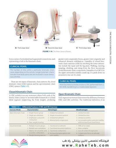 Dutton's Orthopaedic: Examination, Evaluation and Intervention, Seventh Edition