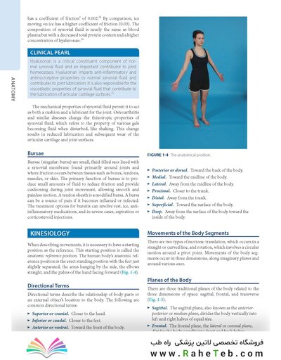 Dutton's Orthopaedic: Examination, Evaluation and Intervention, Seventh Edition