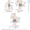 Dutton's Orthopaedic: Examination, Evaluation and Intervention, Seventh Edition