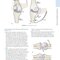 Dutton's Orthopaedic: Examination, Evaluation and Intervention, Seventh Edition