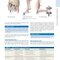 Dutton's Orthopaedic: Examination, Evaluation and Intervention, Seventh Edition