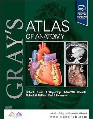 Gray's Atlas of Anatomy 4th Edition