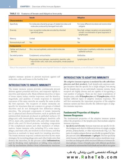 Cellular and Molecular Immunology 11th Edition