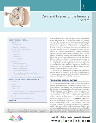 Cellular and Molecular Immunology 11th Edition